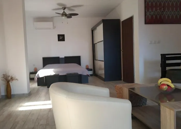 къщата с разкопките *